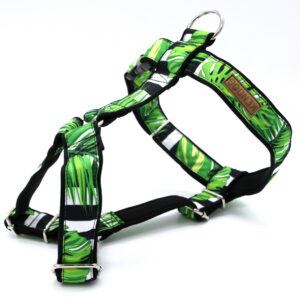 8eb9e541c2ea991efa4fdea6f4976b01