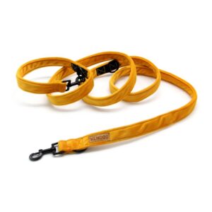 b5fce1c07c95cf635a8da71c5efa780b