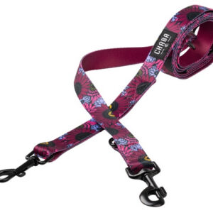 49e23fe03072837bd25cb56ec124580c