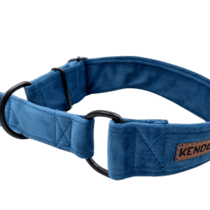 e4db038d361daa17c529947e81abdba2