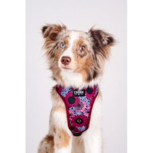 df89f453d7e2afcf9ceab00c07080200