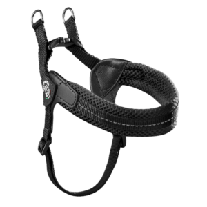 3091acbd81ac3b52c70c08ddbd142c72