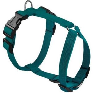 ce2ad0170e22ad5dd307486785bce177