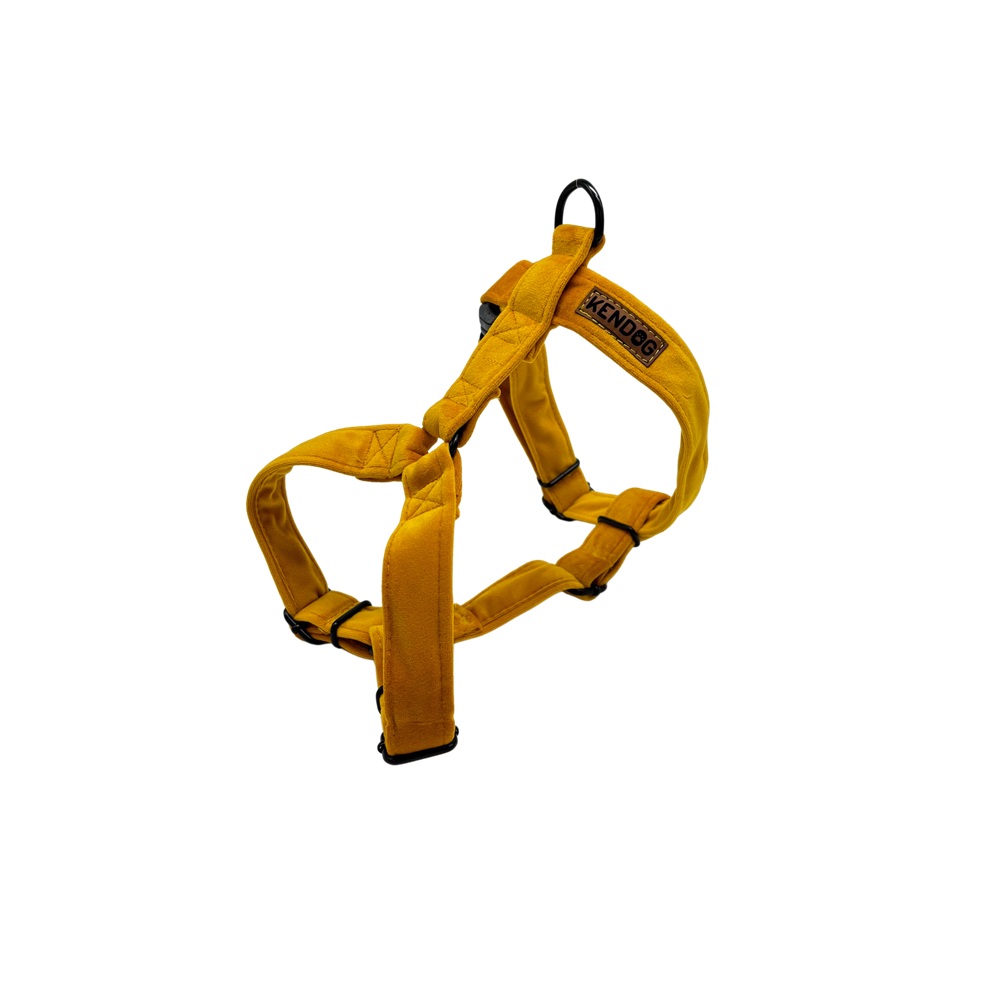 fccff8f1f19447cdbb582b36cf75dd3e.jpg 358b5745268666049a6ca3204372a9f7