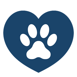 ibiyaya logo