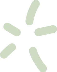 whimzees logo